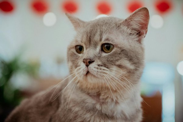 Σαφείς Οδηγίες Από Εκπαιδευμένο Προσωπικό ❀ Ελλάδα   ♥️